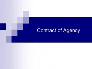 corp-law-agency